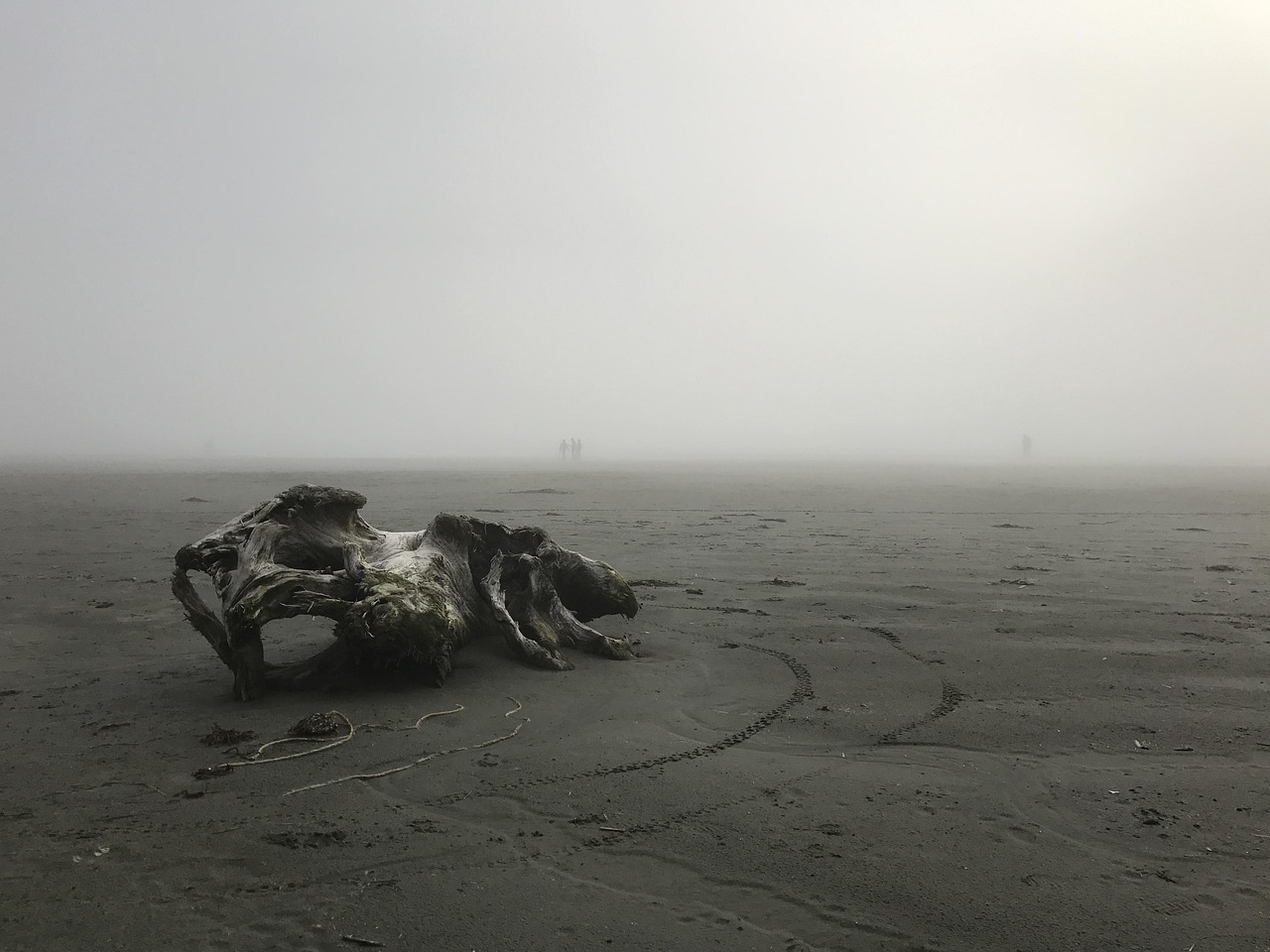 格陵兰海外星人(图1)