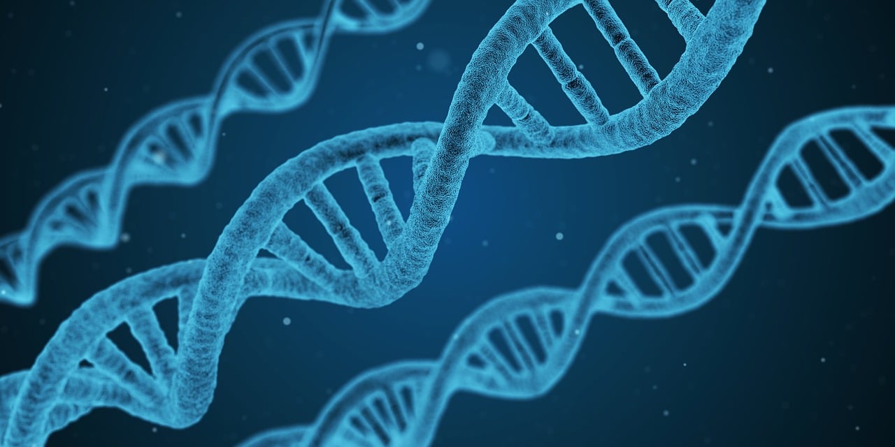 外星人的生物工程(图1)