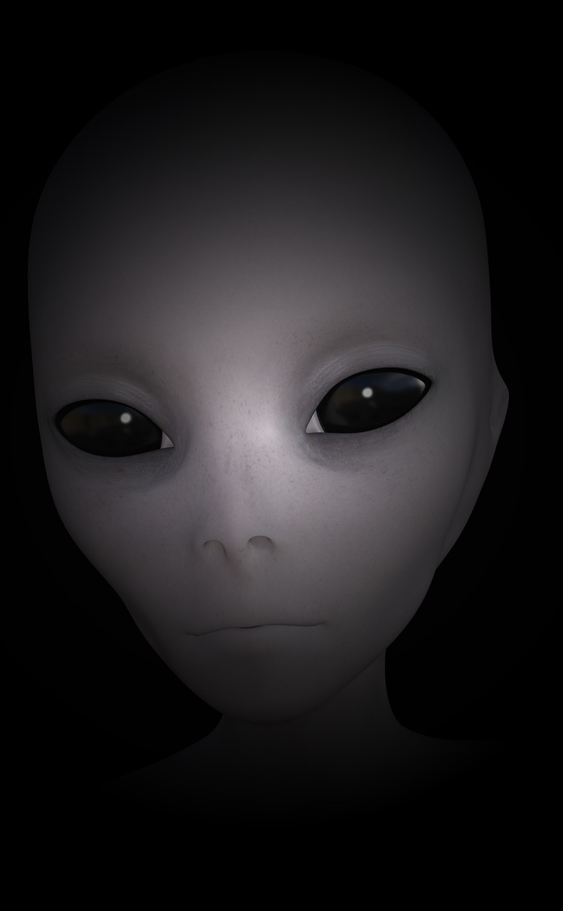 外星人信息(图1)