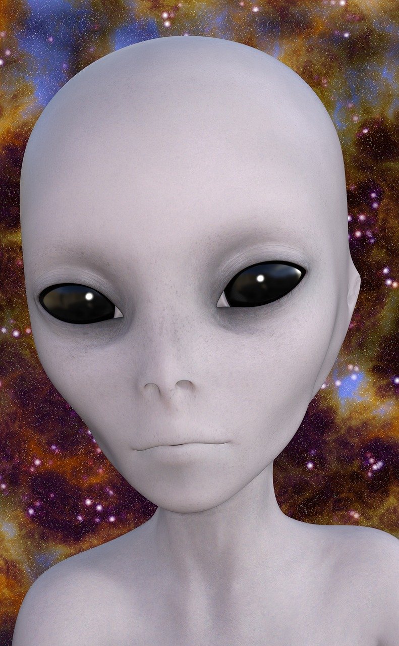 白宫外星人(图1)