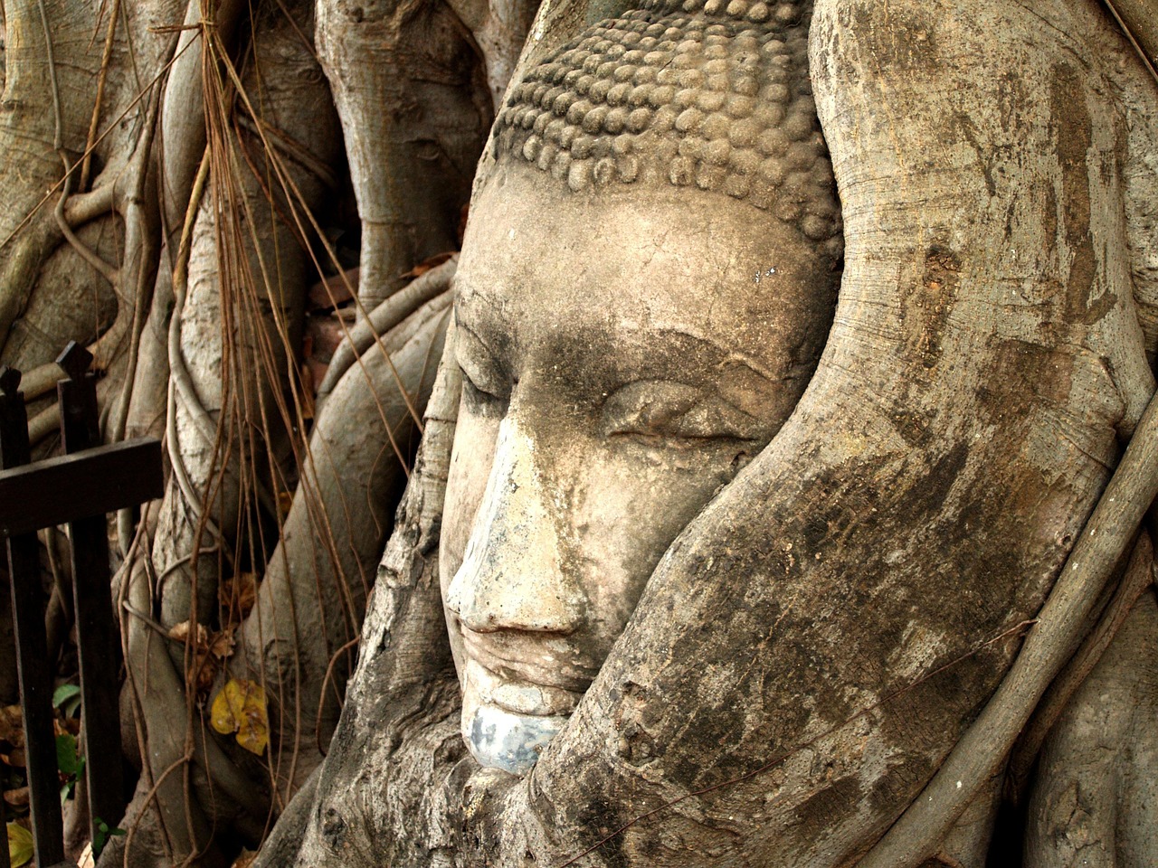 **古代帝王野史揭秘：10个不为人知的皇帝轶事与背后真相**(图1)