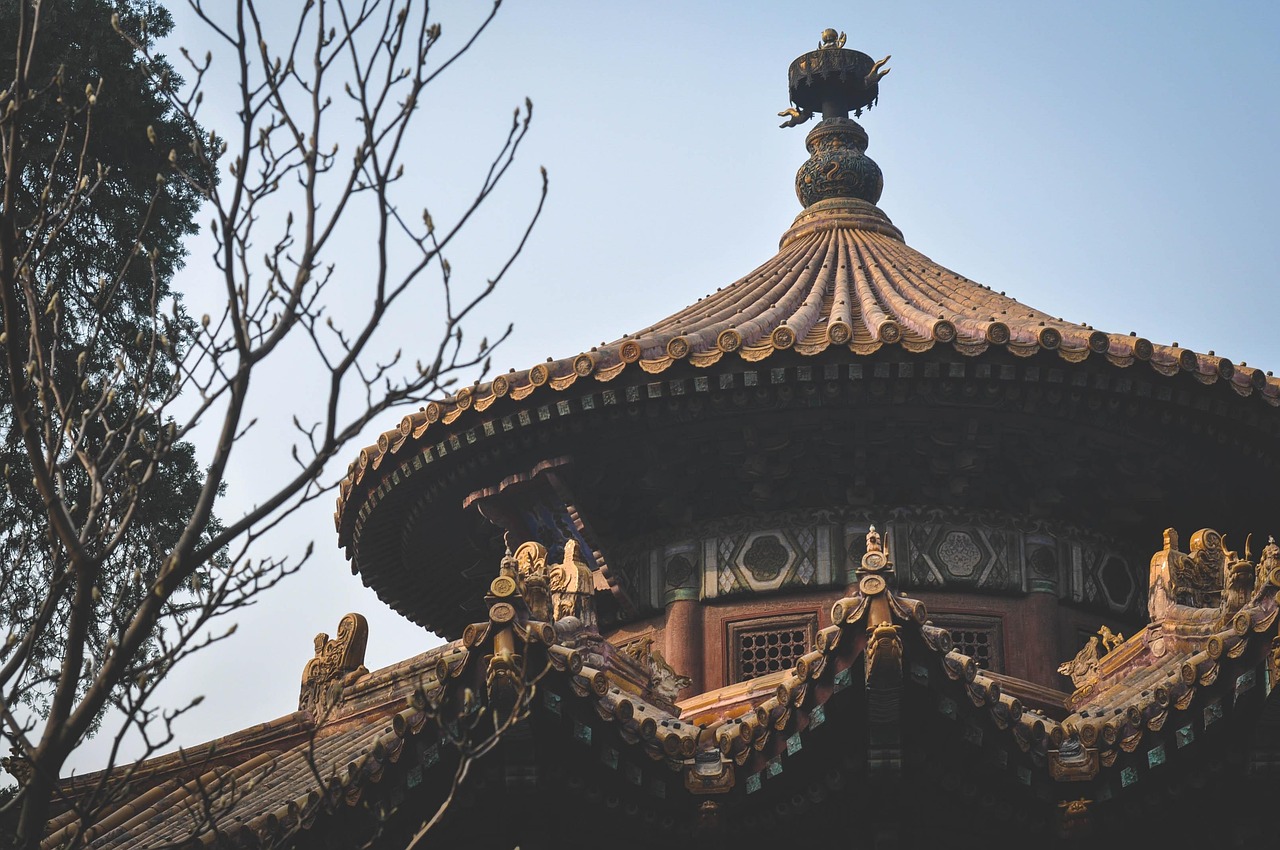 **中国古代的野史全揭秘：鲜为人知的历史真相与传奇故事**(图1)