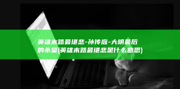 英雄末路最堪悲-孙传庭-大明最后的希望 (英雄末路最堪悲是什么意思)(图1)