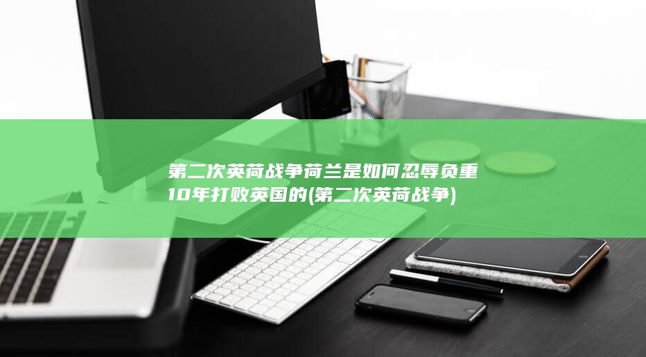第二次英荷战争荷兰是如何忍辱负重10年打败英国的 (第二次英荷战争)(图1)