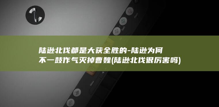 陆逊北伐都是大获全胜的-陆逊为何不一鼓作气灭掉曹魏 (陆逊北伐很厉害吗)(图1)