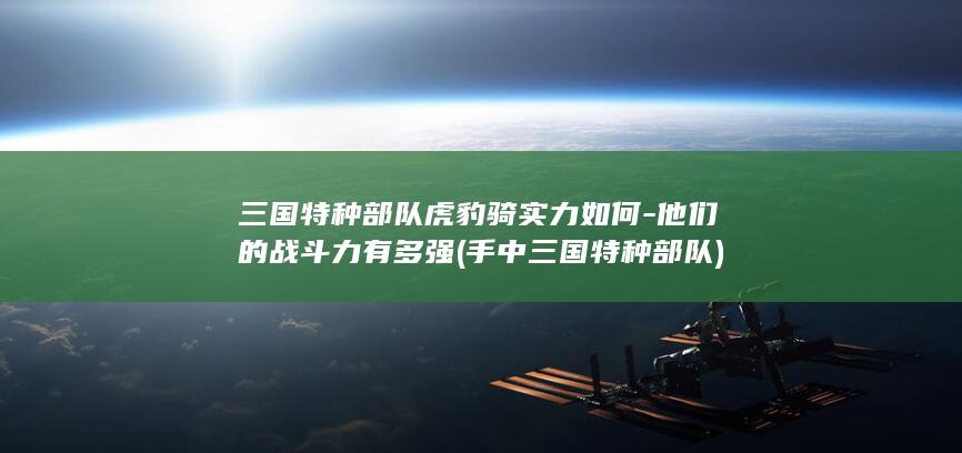 三国特种部队虎豹骑实力如何-他们的战斗力有多强 (手中三国特种部队)(图1)