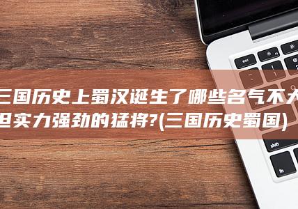 三国历史上蜀汉诞生了哪些名气不大但实力强劲的猛将? (三国历史蜀国)(图1)