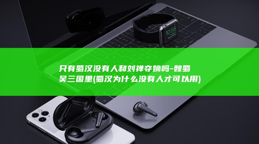 只有蜀汉没有人和刘禅夺嫡吗-魏蜀吴三国里 (蜀汉为什么没有人才可以用)(图1)