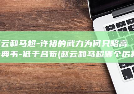 赵云和马超-许褚的武力为何只略高于典韦-低于吕布 (赵云和马超哪个厉害)(图1)