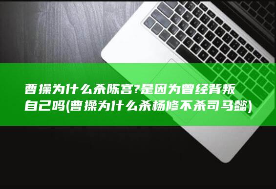 曹操为什么杀陈宫?是因为曾经背叛自己吗 (曹操为什么杀杨修不杀司马懿)(图1)