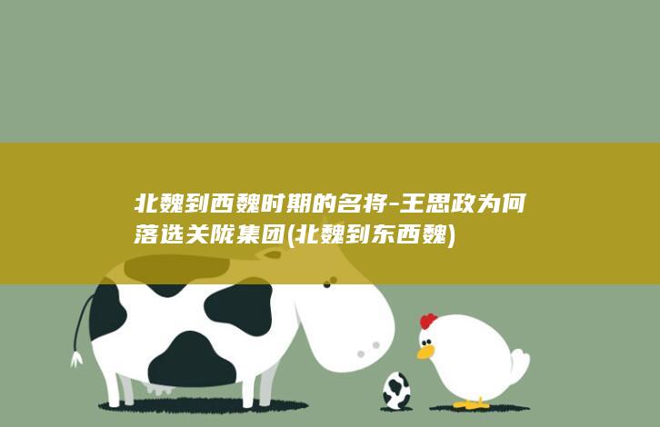 北魏到西魏时期的名将-王思政为何落选关陇集团 (北魏到东西魏)(图1)