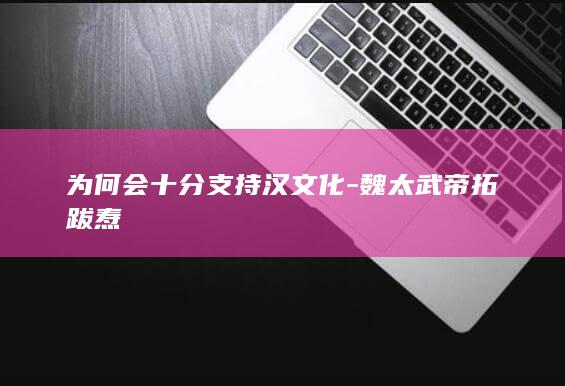 为何会十分支持汉文化-魏太武帝拓跋焘(图1)