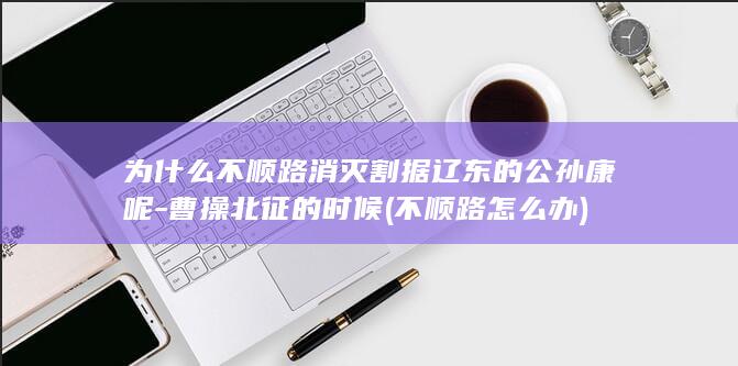 为什么不顺路消灭割据辽东的公孙康呢-曹操北征的时候 (不顺路怎么办)(图1)