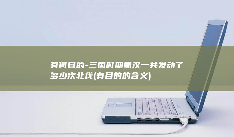 有何目的-三国时期蜀汉一共发动了多少次北伐 (有目的的含义)(图1)