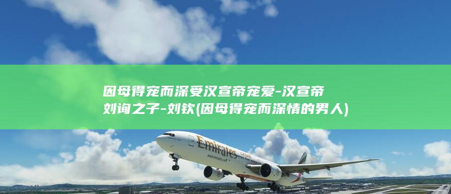 因母得宠而深受汉宣帝宠爱-汉宣帝刘询之子-刘钦 (因母得宠而深情的男人)(图1)