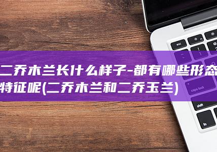二乔木兰长什么样子-都有哪些形态特征呢 (二乔木兰和二乔玉兰)(图1)