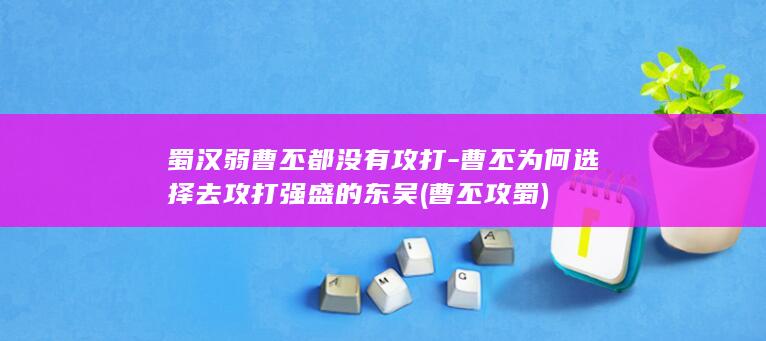 蜀汉弱曹丕都没有攻打-曹丕为何选择去攻打强盛的东吴 (曹丕攻蜀)(图1)