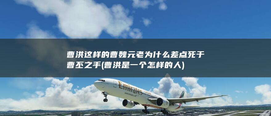 曹洪这样的曹魏元老为什么差点死于曹丕之手 (曹洪是一个怎样的人)(图1)