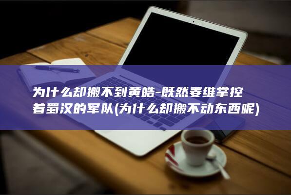 为什么却搬不到黄皓-既然姜维掌控着蜀汉的军队 (为什么却搬不动东西呢)(图1)