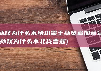 孙权为什么不给小霸王孙策追加帝号 (孙权为什么不北伐曹魏)(图1)