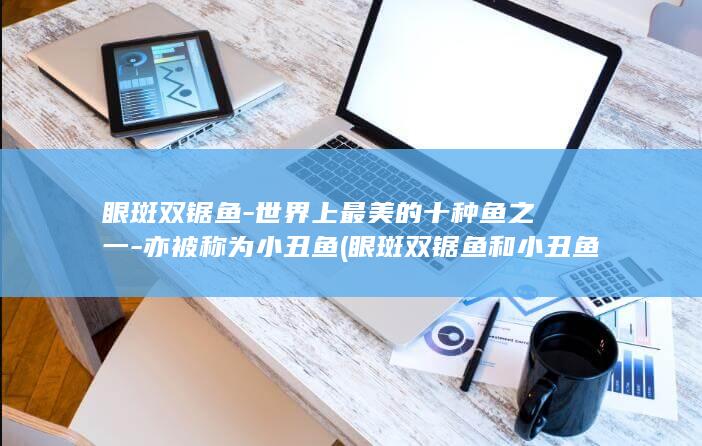 眼斑双锯鱼-世界上最美的十种鱼之一-亦被称为小丑鱼 (眼斑双锯鱼和小丑鱼的区别)(图1)