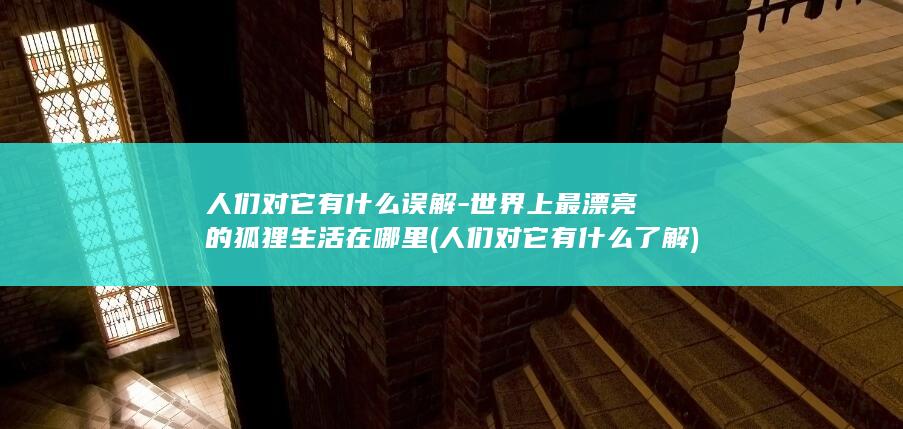 人们对它有什么误解-世界上最漂亮的狐狸生活在哪里 (人们对它有什么了解)(图1)
