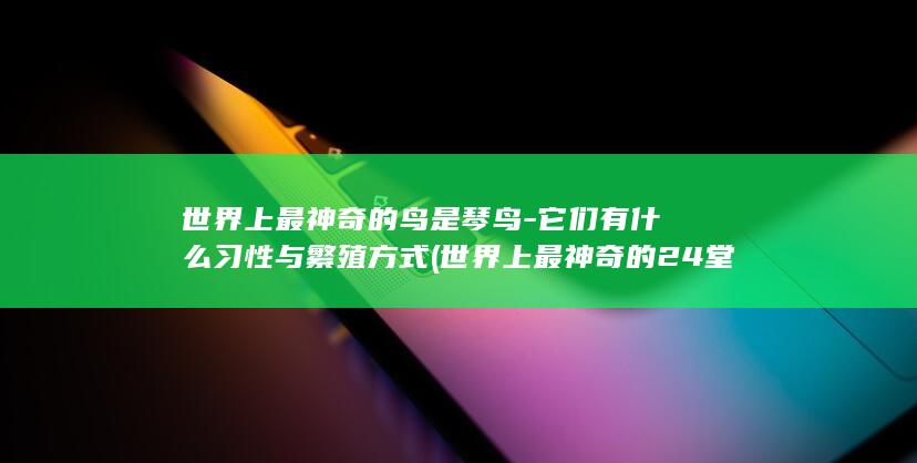 世界上最神奇的鸟是琴鸟-它们有什么习性与繁殖方式 (世界上最神奇的24堂课免费听书)(图1)