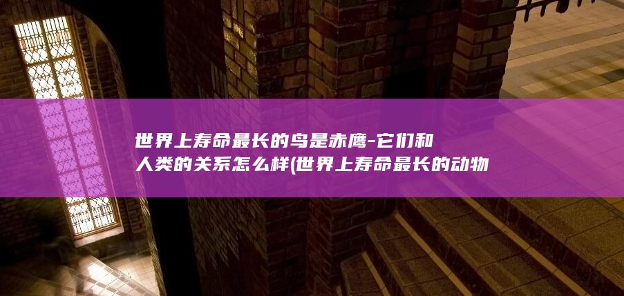 世界上寿命最长的鸟是赤鹰-它们和人类的关系怎么样 (世界上寿命最长的动物)(图1)