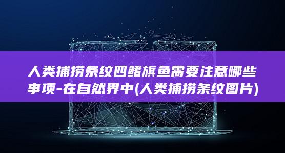 人类捕捞条纹四鳍旗鱼需要注意哪些事项-在自然界中 (人类捕捞条纹图片)(图1)