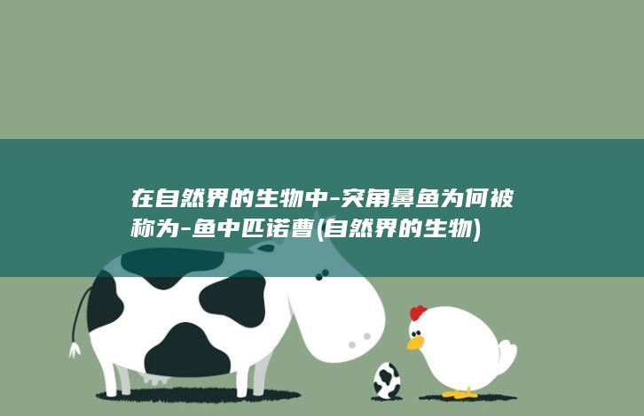 在自然界的生物中-突角鼻鱼为何被称为-鱼中匹诺曹 (自然界的生物)(图1)