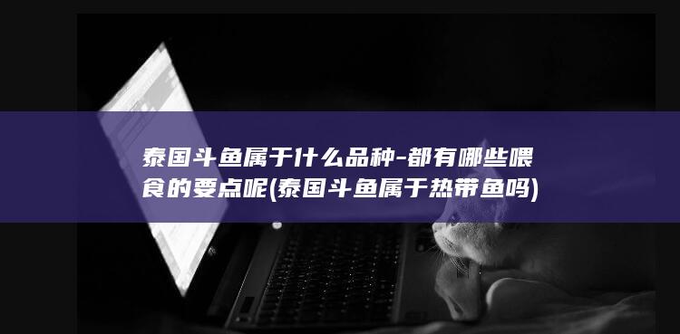 泰国斗鱼属于什么品种-都有哪些喂食的要点呢 (泰国斗鱼属于热带鱼吗)(图1)