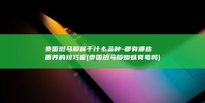 泰国斑马脚属于什么品种-都有哪些喂养的技巧呢 (泰国斑马脚蜘蛛有毒吗)(图1)