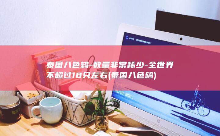泰国八色鸫-数量非常稀少-全世界不超过18只左右 (泰国八色鸫)(图1)