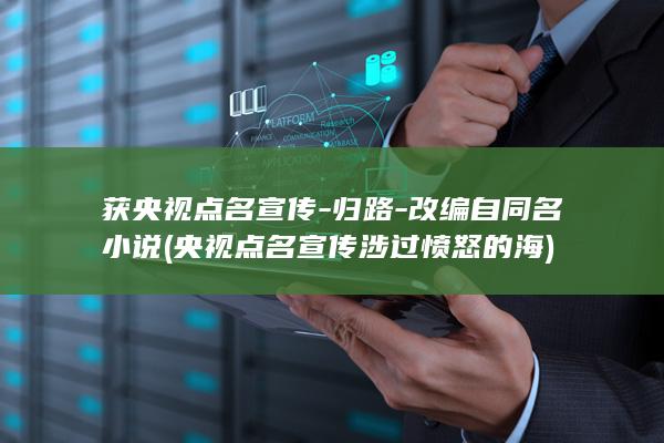 获央视点名宣传-归路-改编自同名小说 (央视点名宣传涉过愤怒的海)(图1)