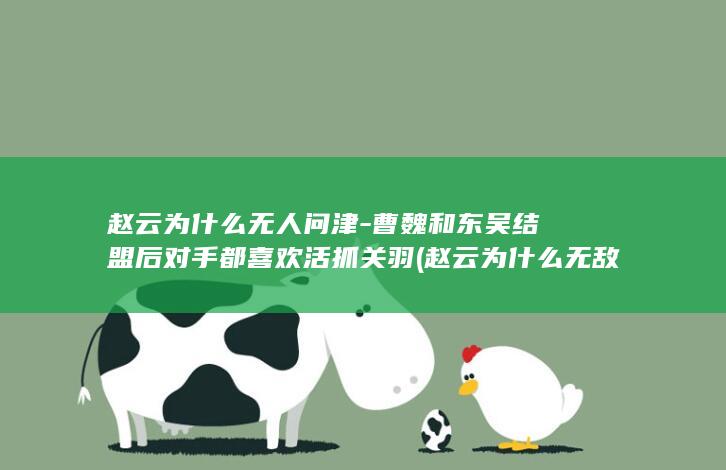 赵云为什么无人问津-曹魏和东吴结盟后对手都喜欢活抓关羽 (赵云为什么无敌了)(图1)