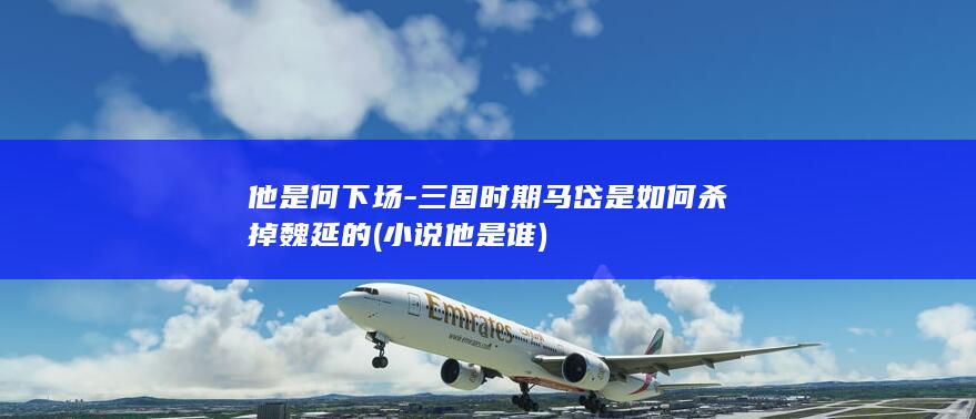 他是何下场-三国时期马岱是如何杀掉魏延的 (小说他是谁)(图1)