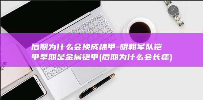 后期为什么会换成棉甲-明朝军队铠甲早期是金属铠甲 (后期为什么会长痣)(图1)