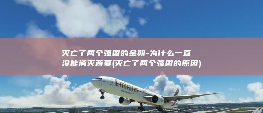灭亡了两个强国的金朝-为什么一直没能消灭西夏 (灭亡了两个强国的原因)(图1)