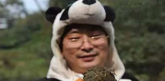 世界上最贵的茶叶 (世界上最贵的车是什么车)(图1)