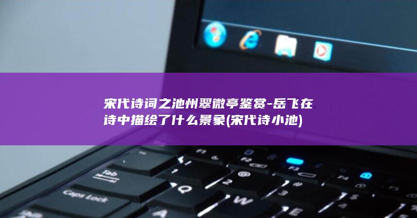 宋代诗词之池州翠微亭鉴赏-岳飞在诗中描绘了什么景象 (宋代诗小池)(图1)